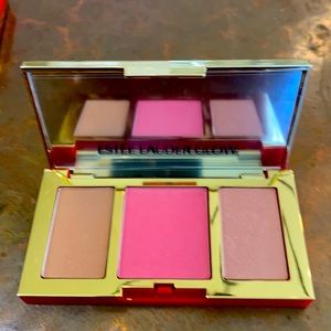 Este Lauder color envy cheek palette